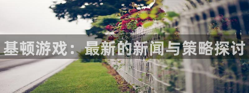 蓝冠娱乐在线登录：基顿游戏：最新的新闻与策略探讨