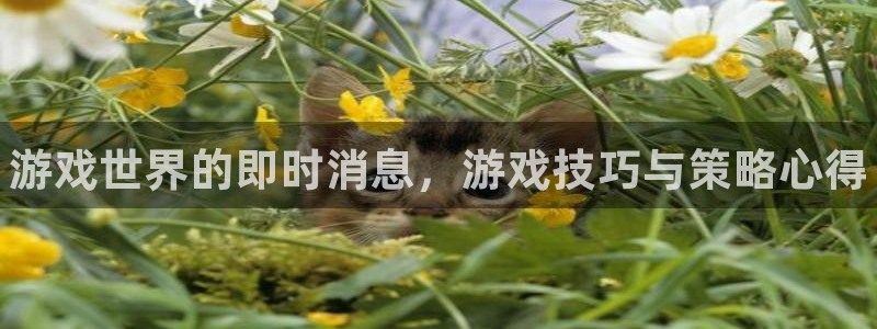 蓝冠娱乐4招商：游戏世界的即时消息，游戏技巧与策略心得