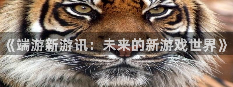 蓝冠娱乐平台登录线路：《端游新游讯：未来的新游戏世界》