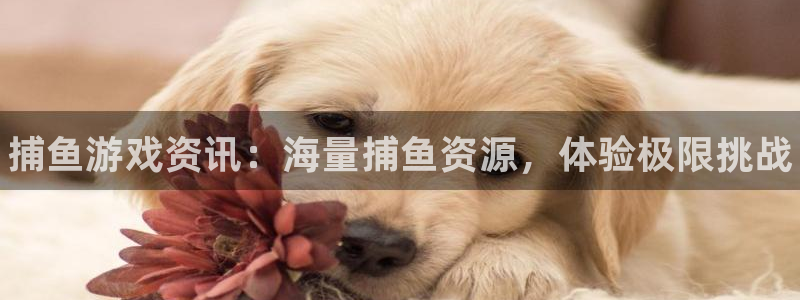 蓝冠娱乐平台官方网站：捕鱼游戏资讯：海量捕鱼资源，体验极限挑