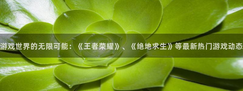 蓝冠娱乐科技：游戏世界的无限可能：《王者荣耀》、《绝地求生》