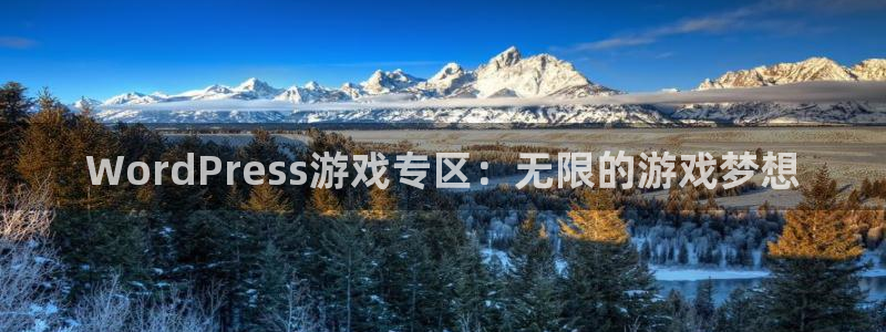 蓝冠娱乐网址官网：WordPress游戏专区：无限的游戏梦想