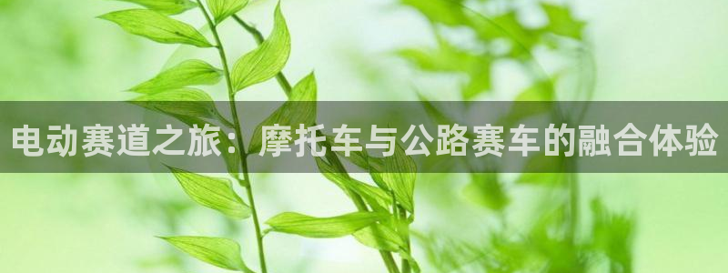 蓝冠娱乐平台官网注册：电动赛道之旅：摩托车与公路赛车的融合体