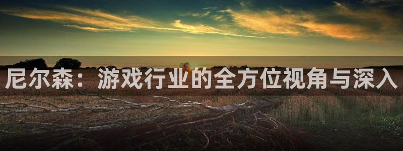 蓝冠娱乐app下载地址：尼尔森：游戏行业的全方位视角与深入