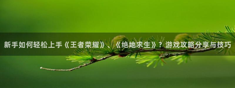 蓝冠娱乐注册官方登录app：新手如何轻松上手《王者荣耀》、《