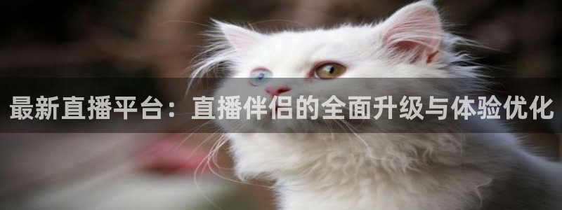 极速直播体育在线直播：最新直播平台：直播伴侣的全面升级与体验优化