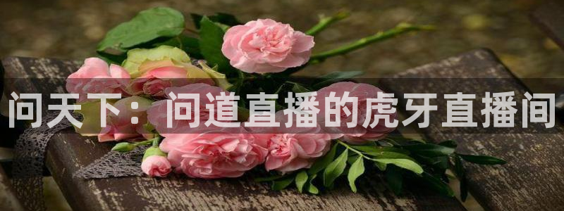 nba视频在线直播极速体育：问天下：问道直播的虎牙直播间