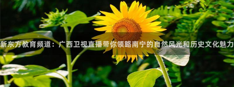 极速体育nba手机直播：新东方教育频道：广西卫视直播带你领略南宁的自然风光和历史文化魅力