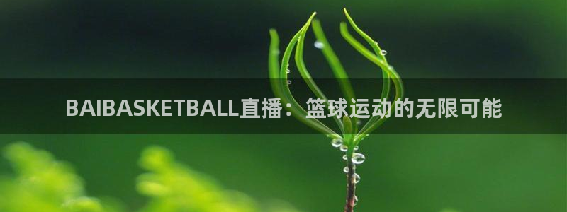 极速体育直播网：BAIBASKETBALL直播：篮球运动的无限可能