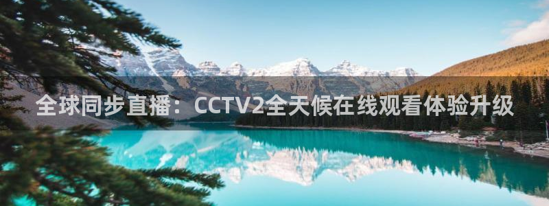 极速直播体育nba直播：全球同步直播：CCTV2全天候在线观看体验升级